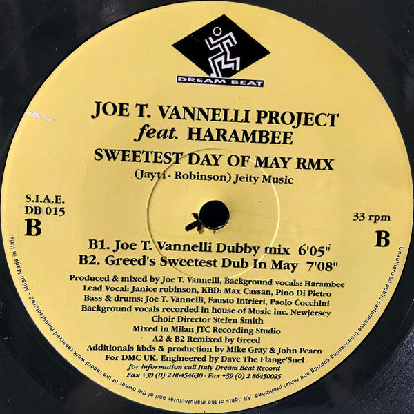 Joe T. Vannelli Project - Sweetest Day Of May RMX(12")