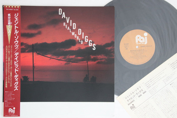 David Diggs - Realworld (LP, Album)