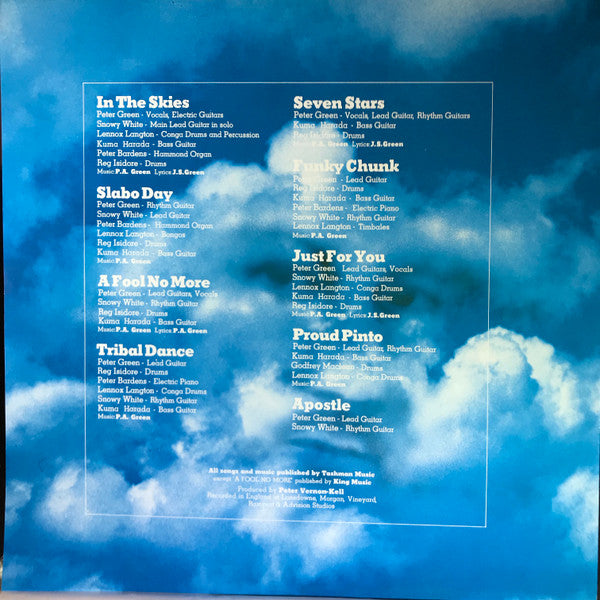 Peter Green (2) - In The Skies (LP, Album)