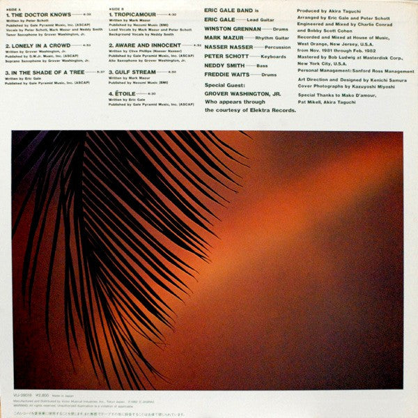 Eric Gale - In The Shade Of A Tree  (LP, Album)