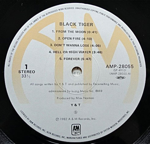 Y & T - Black Tiger (LP, Album)