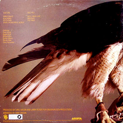 Dave Valentin - The Hawk (LP, Album, Gat)