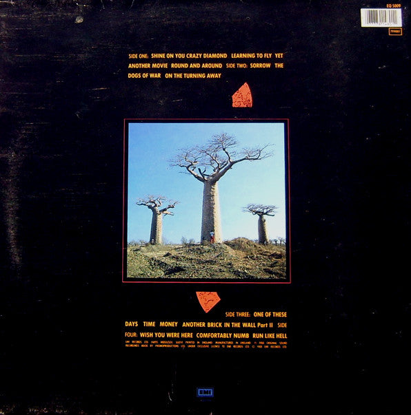 Pink Floyd - Delicate Sound Of Thunder (2xLP, Album, EMI)