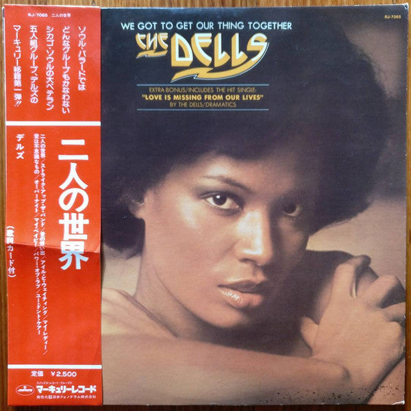 The Dells - We Got To Get Our Thing Together (LP, Album)
