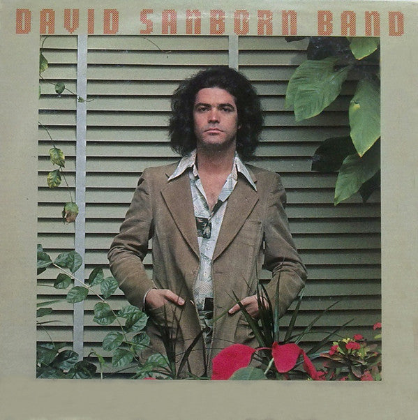 David Sanborn Band - Promise Me The Moon (LP, Album)