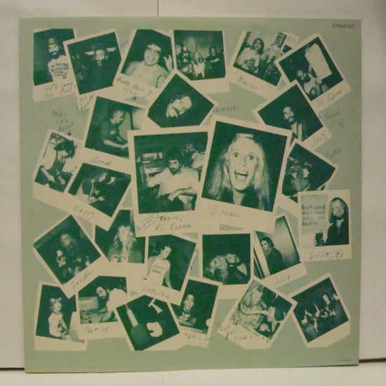 Kim Carnes - Mistaken Identity (LP, Album)