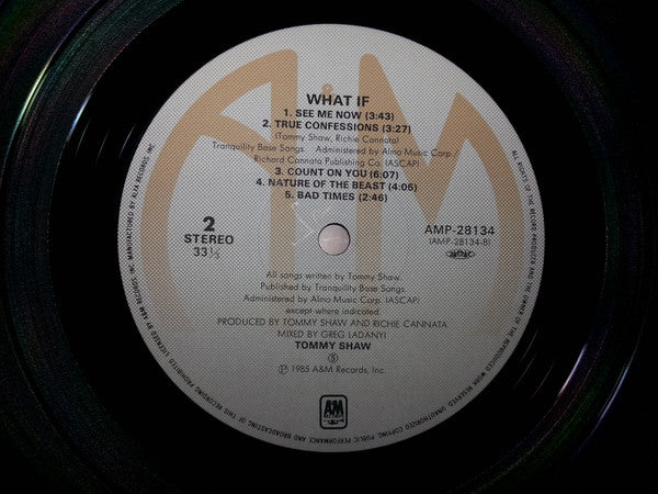 Tommy Shaw - What If (LP, Album)