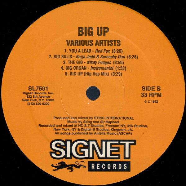 Various - Big Up (LP, Comp)