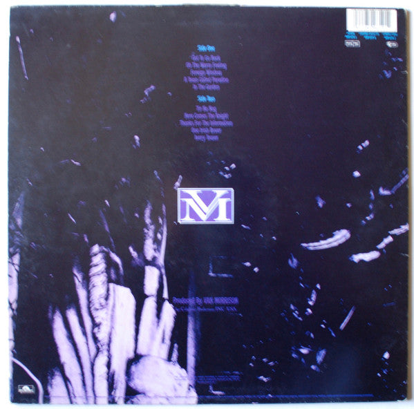 Van Morrison - No Guru, No Method, No Teacher (LP, Album, RE)