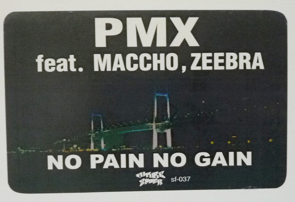PMX* - No Pain, No Gain (12"", Maxi, Promo)
