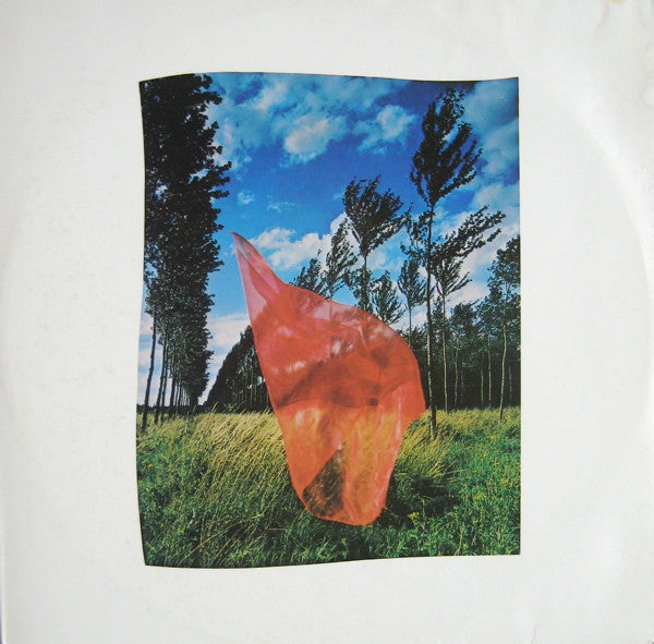 Pink Floyd - Wish You Were Here (LP, Album, RE, Car)