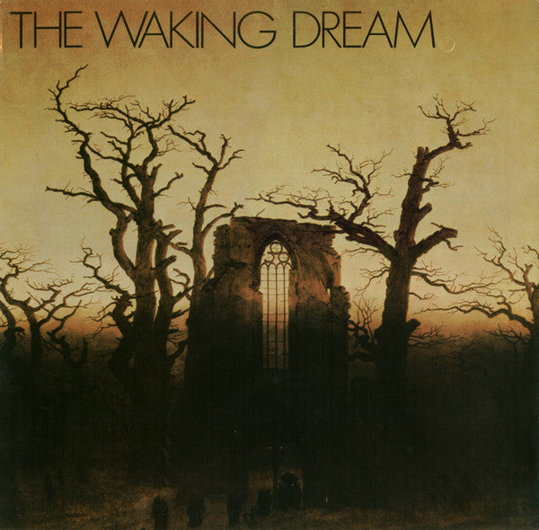 Various - The Waking Dream (LP, Comp)