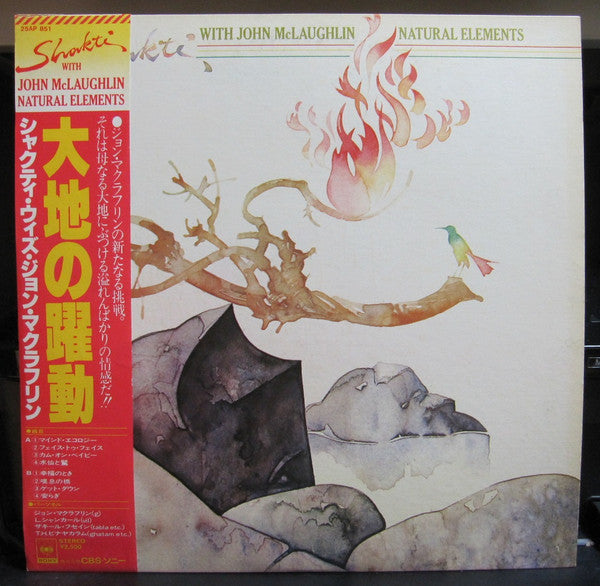 Shakti (2) With John McLaughlin - Natural Elements (LP, Album)