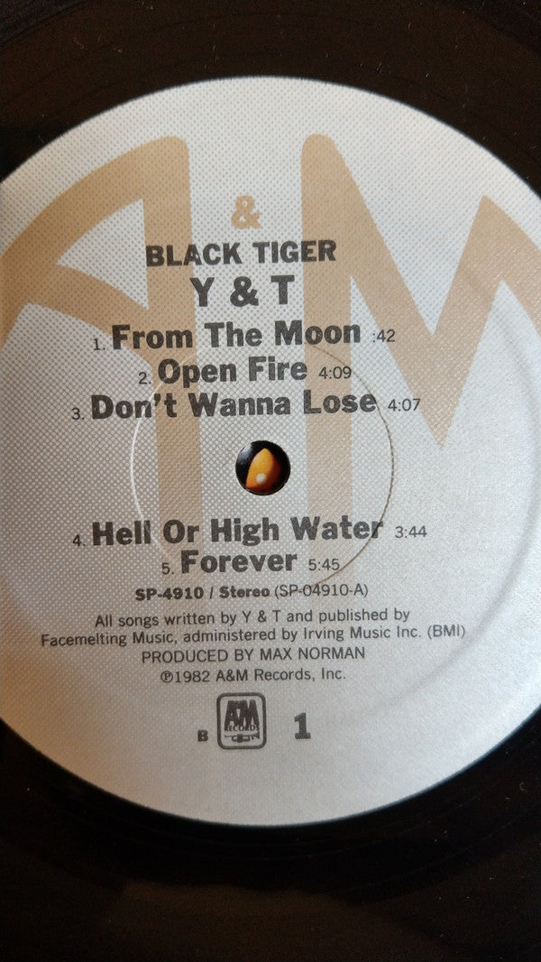 Y & T - Black Tiger (LP, Album, Ele)