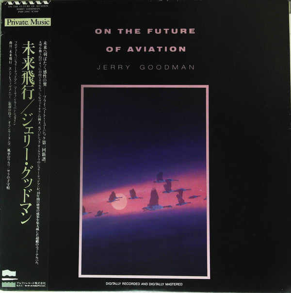Jerry Goodman - On The Future Of Aviation (LP, Album, Promo)