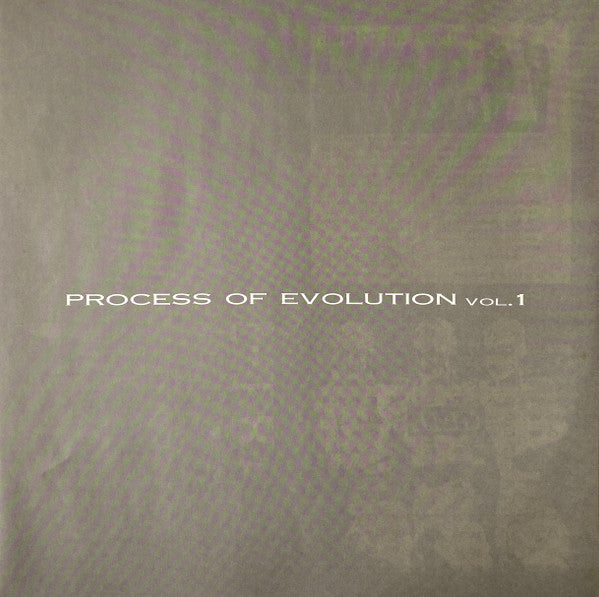 Various - Process Of Evolution Vol. 1 (LP, Comp)