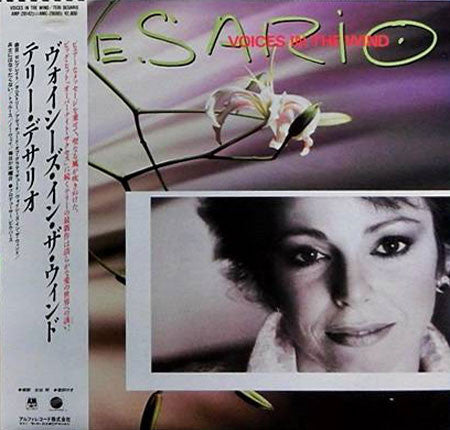Teri DeSario - Voices In The Wind (LP, Album)