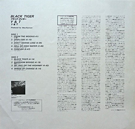 Y & T - Black Tiger (LP, Album)