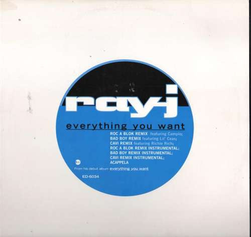 Ray J - Everything You Want (12"", Promo)