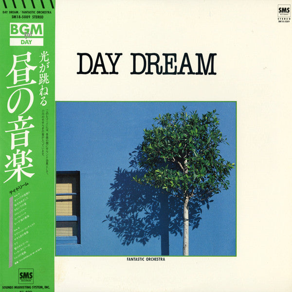 Fantastic Orchestra - Day Dream 昼の音楽 (LP)