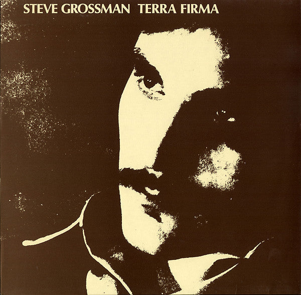 Steve Grossman - Terra Firma (LP, Album)