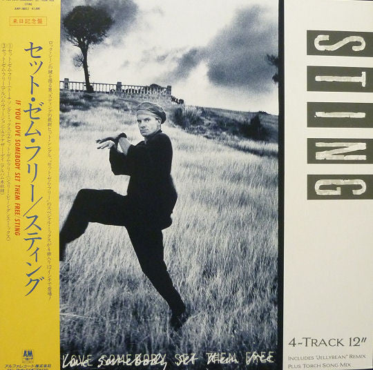 Sting - If You Love Somebody Set Them Free (12"")