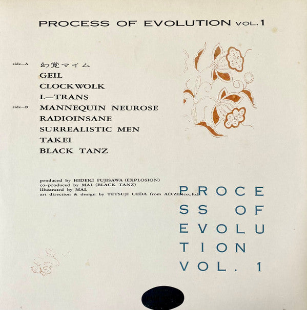 Various - Process Of Evolution Vol. 1 (LP, Comp)