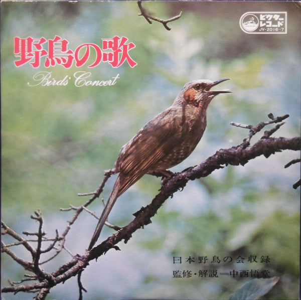 No Artist - 野鳥の歌 Birds' Concert (2xLP)