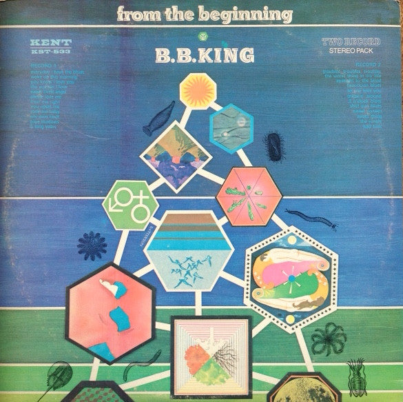 B.B. King - From The Beginning (2xLP, Comp, Gat)