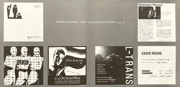 Various - Process Of Evolution Vol. 1 (LP, Comp)