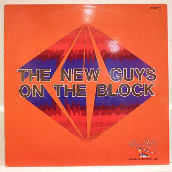 New Guys On The Block - The New Guys On The Block (LP, Album)
