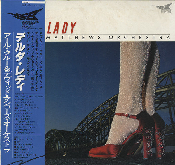 David Matthews Orchestra - Delta Lady (LP, Album, Promo)