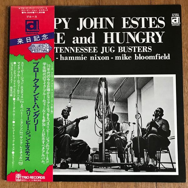 Sleepy John Estes - Broke And Hungry (LP, Album)