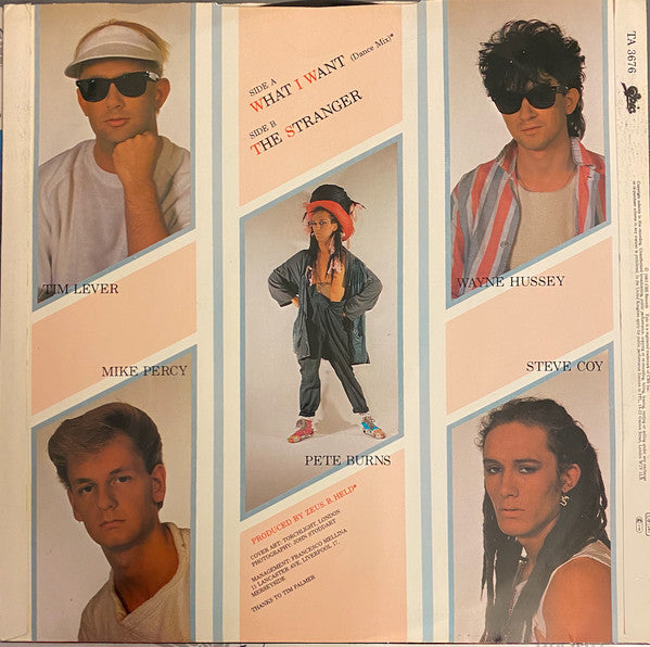 Dead Or Alive - What I Want (12"", Single)