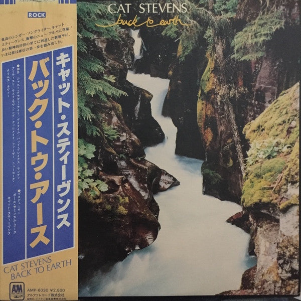 Cat Stevens - Back To Earth (LP, Album)