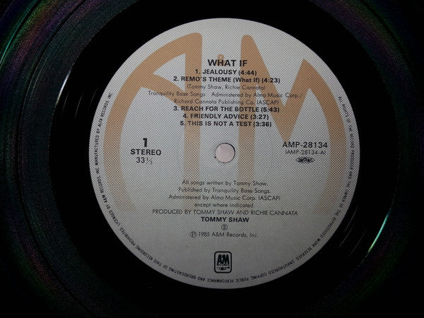 Tommy Shaw - What If (LP, Album)