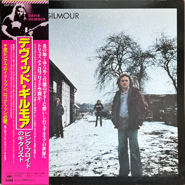 David Gilmour - David Gilmour (LP, Album, Gat)