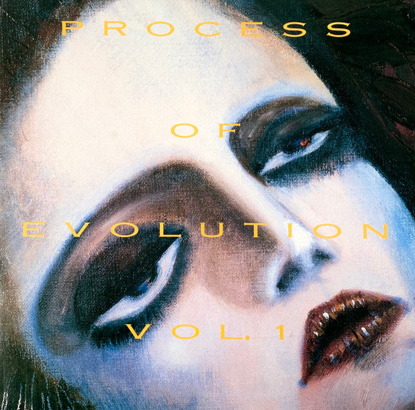 Various - Process Of Evolution Vol. 1 (LP, Comp)