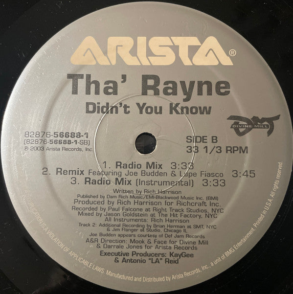 Tha' Rayne - Didn't You Know (12"")