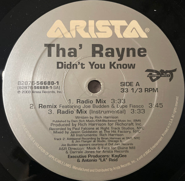 Tha' Rayne - Didn't You Know (12"")