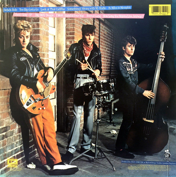 Stray Cats - Rant N' Rave With The Stray Cats (LP, Album, Win)
