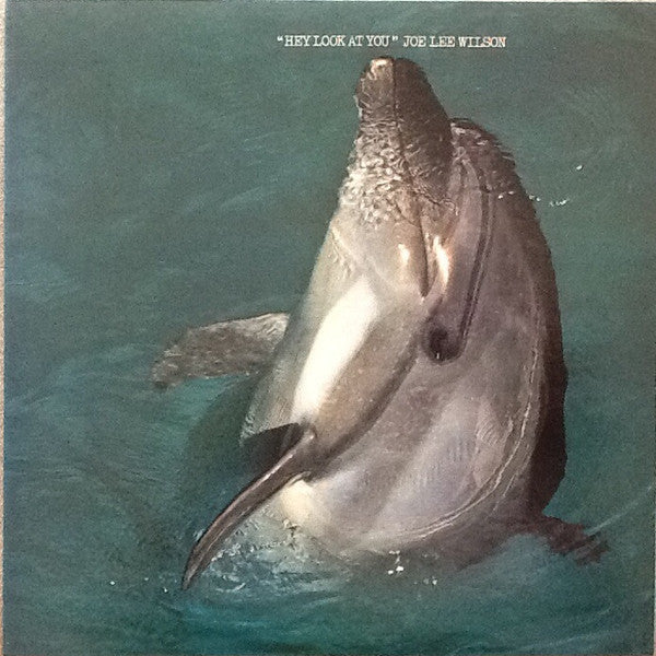 Joe Lee Wilson - Hey Look At You (LP, Album)