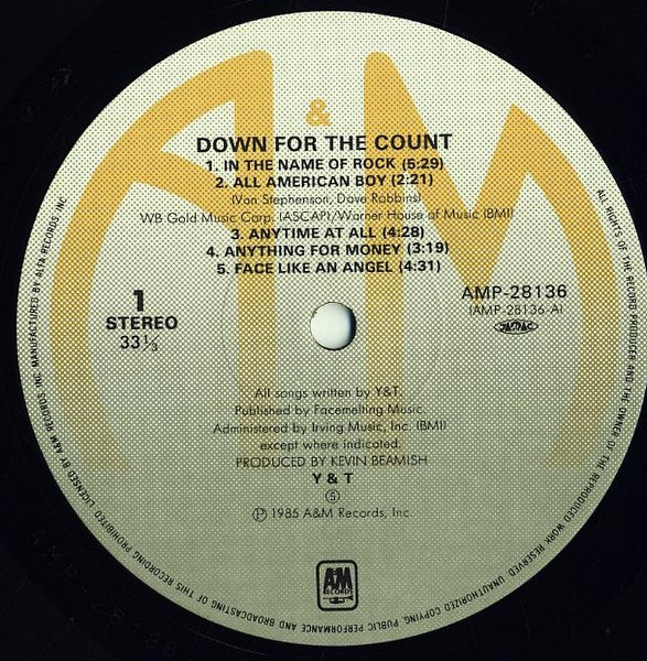 Y & T - Down For The Count (LP, Album)