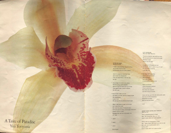 Yuji Toriyama - A Taste Of Paradise (LP, Album)