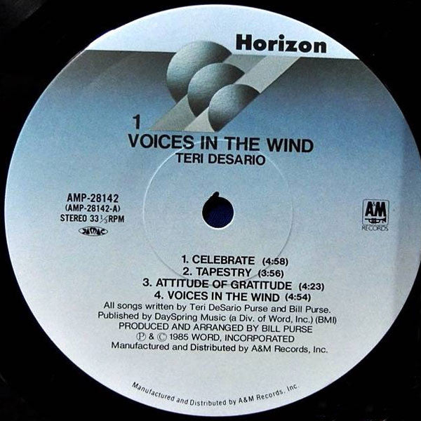 Teri DeSario - Voices In The Wind (LP, Album)