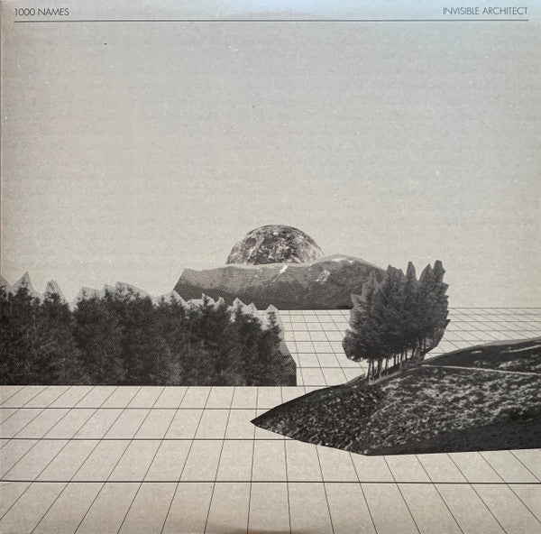 1000 Names - Invisible Architect (2xLP, Album, Ltd)