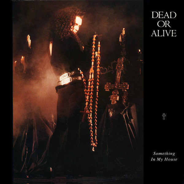 Dead Or Alive - Something In My House (12"")