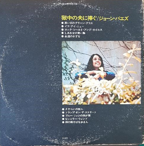 Joan Baez - David's Album (LP, Album)