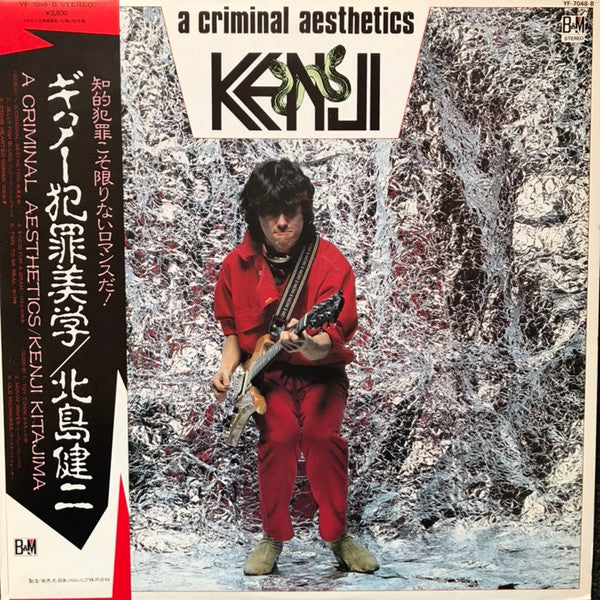 Kenji Kitajima - A Criminal Aesthetics (LP, Album)