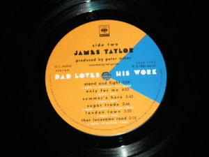 James Taylor (2) - Dad Loves His Work (LP, Album)